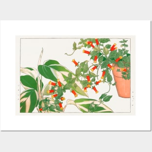 House plants and flowers Japan art illustration Posters and Art